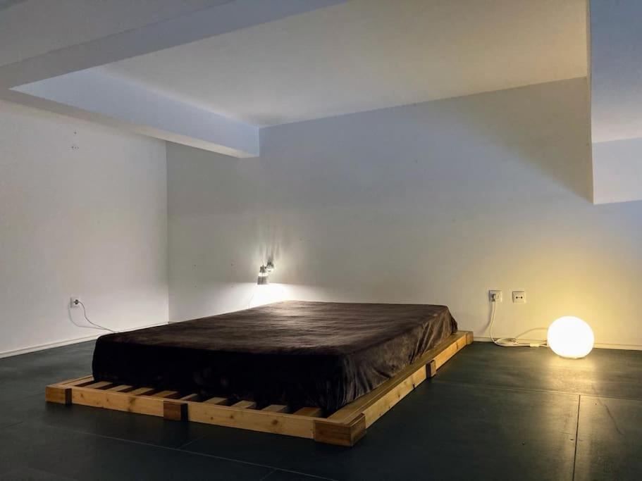 Contemporary Loft In Alcacer Do Salアパートメント エクステリア 写真